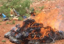 ISKA ILAALI BALWADDA WAA DILAAGA NAFTAADA