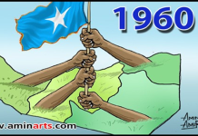HALGANKII XORNIMADOONKA URURKII SNL EE GOBOLLADA WAQOOYI EE SOOMAALIYA.