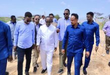 Guddoomiyaha Gobolka Banaadir oo amray in aan la dhisan karin Qubuuraha Macalin Nuur