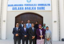 Wasiirka Dhallinyarada XFS oo hortegay Guddiga Arrimaha Bulshada Golaha Aqalka Sare BJFS
