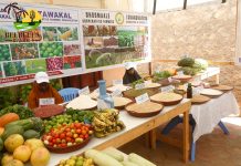 WAXYAABAHA DALKEENA SOO SAARO MA HABOONA IN DIBADA LAGA KEENO.