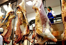 SOO DHOOFINTA XOOLAHA QALAN SAAMEYNTOODA DHAQAALE IYO DOORKA DOWLADDA.