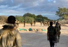 Cows-weyne Cadowgii (Al-shabaab), Wallee Caana kama dhamin (WARBIXIN)