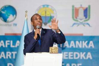 FB_IMG_1691838287839-330x220