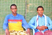 Xubno ka tirsanaa Khawaarijta oo isu soo dhiibay Ciidanka Qaranka ku sugan Diinsoor