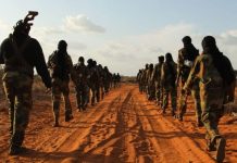 Ciidanka Qaranka iyo Saaxiibada Caalamka oo howlgal qorsheysan ku dlay 27 Khawaarij ah