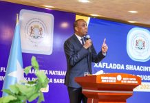 Ra’iisul wasaare Xamse “ Dal horumar ma gaaro dadkiisa oo aan kor u qaadin aqoontooda”