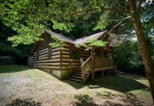 NIN SADDEX DUCO LA SIIYEY