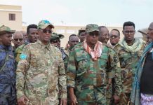 Taliyaha Xoogga oo sheegay in khawaarijta billaabeen dhameystirka kuwa ka dhaawacmo