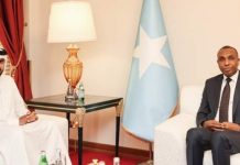 Ra’iisul wasaare Xamse oo la kulmay agaasimaha guud ee sanduuqa horumarinta Qatar