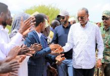 Madaxweyne lafta-gareen iyo Wafdi uu hoggaaminayo oo gaaray Diinsoor