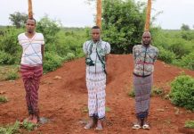 Maxkamadda Ciidamada qaybta Koonfur galbeed oo xukun dil ah ku fulisay xubno hore dilal u geystay