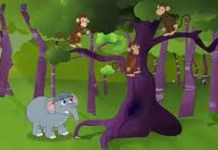 SUUL COWRO (FAADUMO FARA-LACAG) QEYBTA 1AAD WAA SHEEKO CARUUREEDKA TODDOBAADKA