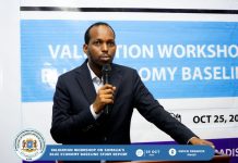 Aqoon is-weydaarsi ku saabsan daraasaynta xogta aasaasiga ah ee dhaqaalaha buluugga ah oo lagu qabtay muqdisho