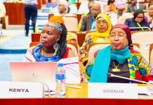 Wasiirka Haweenka iyo xaquuqul Insaanka XFS oo Tanzania uga qeybgaleysa Shirweynaha 2-aad ee Gudniinka Fircooniga