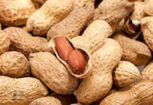 LOWSKA OO LA OGAADAY FAA’IIDOOYINKA LAGA HELO