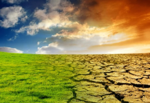 BULSHOOY LABO DARAN MID UN DORO (ARRIMAHA DHAQANKA)