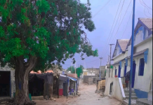 2 caruur ah ayaa ku dhimatay halka ay 3 kale ku dhaawacmeen kaddib Roobab ka da’ay degmada Bandarbeyla