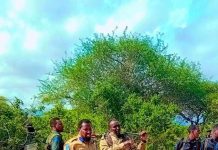 Boliiska Soomaaliya oo dhex galay beelihii ku dagaallamay Shabeellada dhexe