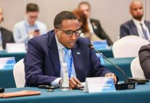 Safiirka JFS ee Dalka Shiinaha oo ka qeyb galay shirka rugta ganacsiga iyo ururada caalamiga ah ee hindisaha Belt and Road