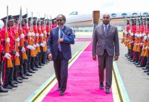 Madaxweyne Xasan Sheekh oo gaaray magaalada Arusha ee dalka Tansaaniya