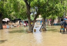 Siddeed qof oo ku geeriyootay fatahaadda webiga Shabeelle ee Baladweyne