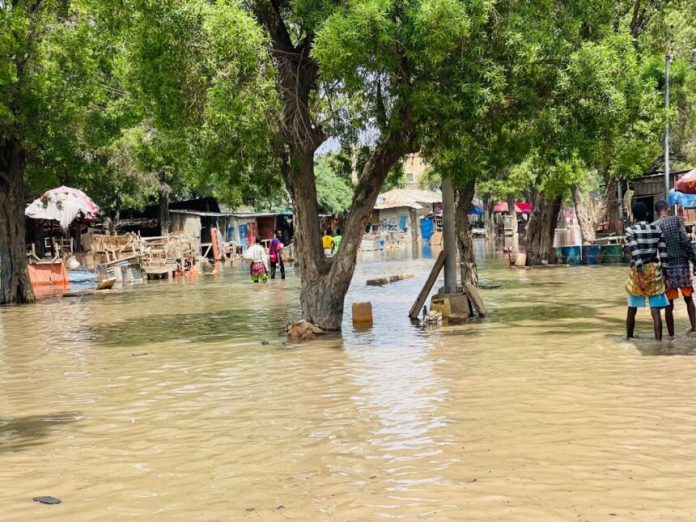 fataha-wbiga-860x645