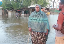 Baledweyne oo saddax Carruur ah ay Gaajo ugu geeriyoodeen