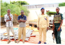 Ciidanka Booliska Jubbaland oo gacanta ku dhigay 142-Kiillo oo xashiish ah.