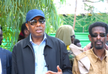 Ra’iisul Wasaare Xamsa oo sheegay in DFS ay dhisayso buundooyinka burburay