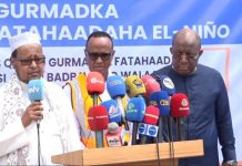 Wasiir Daa’uud Aweys :Dad kabadan Hal milyan ayuu saameeyey Daadadka iyo fatahaadaha dalka ka dhacay