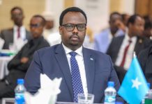 Ra’iisul Wasaare Ku-xigeenka XFS oo Sheegay in dowladda ay dhiiri-gelinayso maal-gashiga gudaha iyo kuwa caalamiga ah
