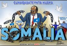 Maxay uga dhigan tahay qaadista Cuneqabateynta Hubka Soomaaliya? (WARBIXIN)
