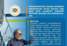 Sanadka 2023-ka Soomaaliya waxay gaartay guulo taariikhi ah (WARBIXIN) Qeybtii 2-aad