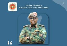 Taliyaha Ciidanka Xoogga Dalka oo Shacabka Soomaaliyeed ugu hambalyeeya qaadista Cunaqabteynta hubka