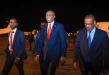 Wafdi uu hoggaaminayo Ra’iisal wasaare Xamse oo gaaray dalka Jabuuti