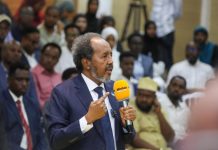 Madaxweynaha JFS oo ka hadlay beegsiga shirkaddaha ee Khawaarijta