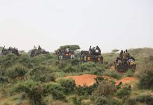 Ciidanka xoogga iyo kuwa Galmudug oo guullo ka gaaray dagaalka ka dhanka ah khawaarijta