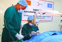 Hay’adda Bisha Cas ee Turkiga oo maanta Olole indho fiiqis ah ka bilowday gudaha Soomaaliya