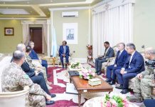 Madaxweyne Xasan Sheekh oo la kulmay wafdi ka socday Turkiga