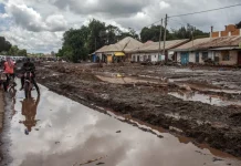 Roobab sababay dhimasho badan oo ka da’ay Tanzania