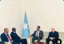 Guddoomiyaha Gobolka Banaadir oo Danjire Doodishe kula kulmay dalka Qatar