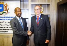 Wasiirka Kalluumeysiga XFS oo kulan la yeeshay madaxa howlgal midowga yurub ee tayeynta Soomaaliya
