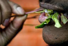 DHIBAATOOYINKA LAGA DHAXLO MARQAANKA