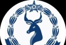 Ciidanka Amaanka oo fashiliyey qarax khawaarijtu rabtay in ka fuliso Suuqa Xamarweyne