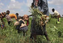 DALAGGA DALKEENA DEEQ NOOGU FILAN