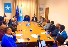 Danjiraha Soomaaliya u fadhiya Midowga Yurub oo kulan la yeeshay Jaaliyadda Soomaaliyeed ee ku nool Yurub