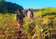 Ciidanka Xoogga Dalka oo howlgal ka dhan ah khawaarijta ka sameeyay degaano katirsan gobolka Baay