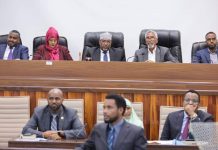 Baarlamanka JFS oo xeer ka soo saaray is afradkii Somaliland iyo Ethiopia