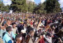 Ciidamada jabhadda Amxaarada oo kaabiga ku haya caasimada Addis ababa